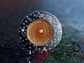 213 - BROSCHE | The Dreaming Queen, Silber, Gold, Edelstahl, 50 Cent NL, Brillant, Starlight Coin