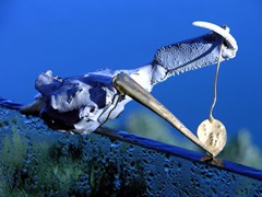 735  | Miniature Sculpture - Urer URG gold, pearls, Thalassina Anomala, Braille Art