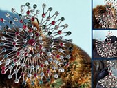 25 |  Brooche The Peacock, White Gold, Diamonds, Rubies, Emeralds, Turn Art, DIAMONDS INTERNATIONAL AWARD, New York 1967