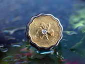 224 - RING | Hong Kong Love, Edelstahl, 20 Cent HK, Brillant, Starlight Coin