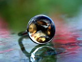 303 - RING | Together, SS, gold, rock crystal op stone, Kinetic, Op Art