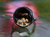 305 - RING | Diamond Game, SS, gold, rock crystal op stone, diamond, Kinetic, Op Art